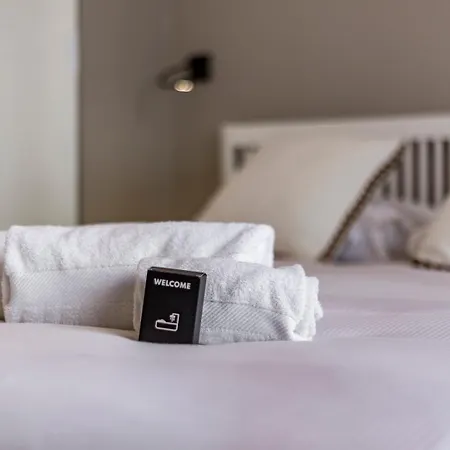 Apartment In | Urbain Chic Climatise 6 Lyon